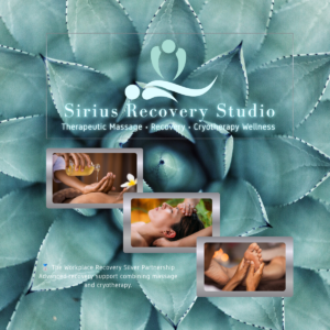Workplace Recovery Silver Partnership